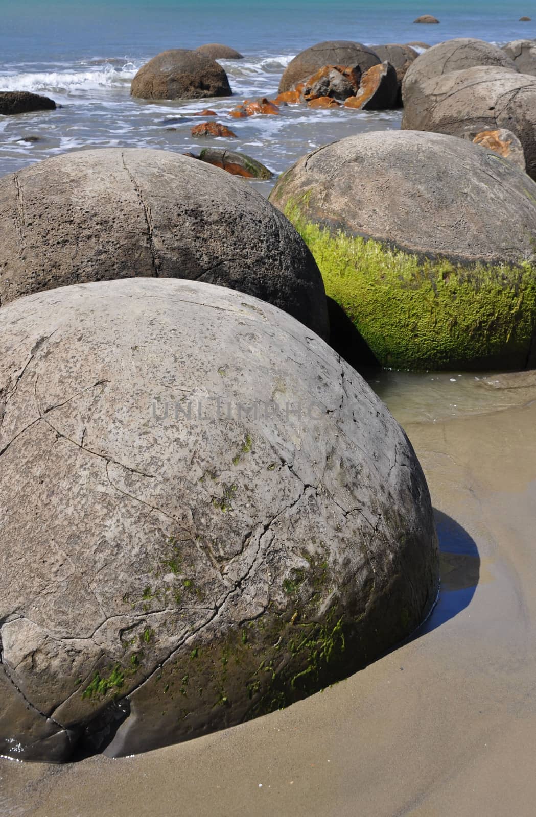 Moeraki Boulders are perfectly spherical rocks on the beach at Moeraki, near Oamaru. Up to 13 feet round Maori believe they were canoe food baskets.