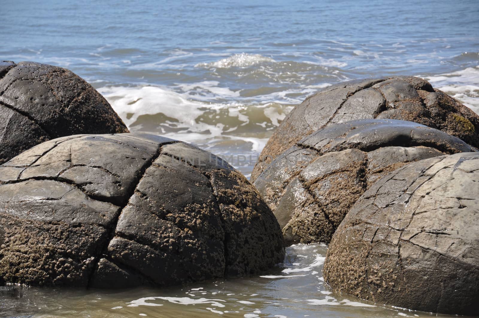 Moeraki Boulders are perfectly spherical rocks on the beach at Moeraki, near Oamaru. Up to 13 feet round Maori believe they were canoe food baskets.