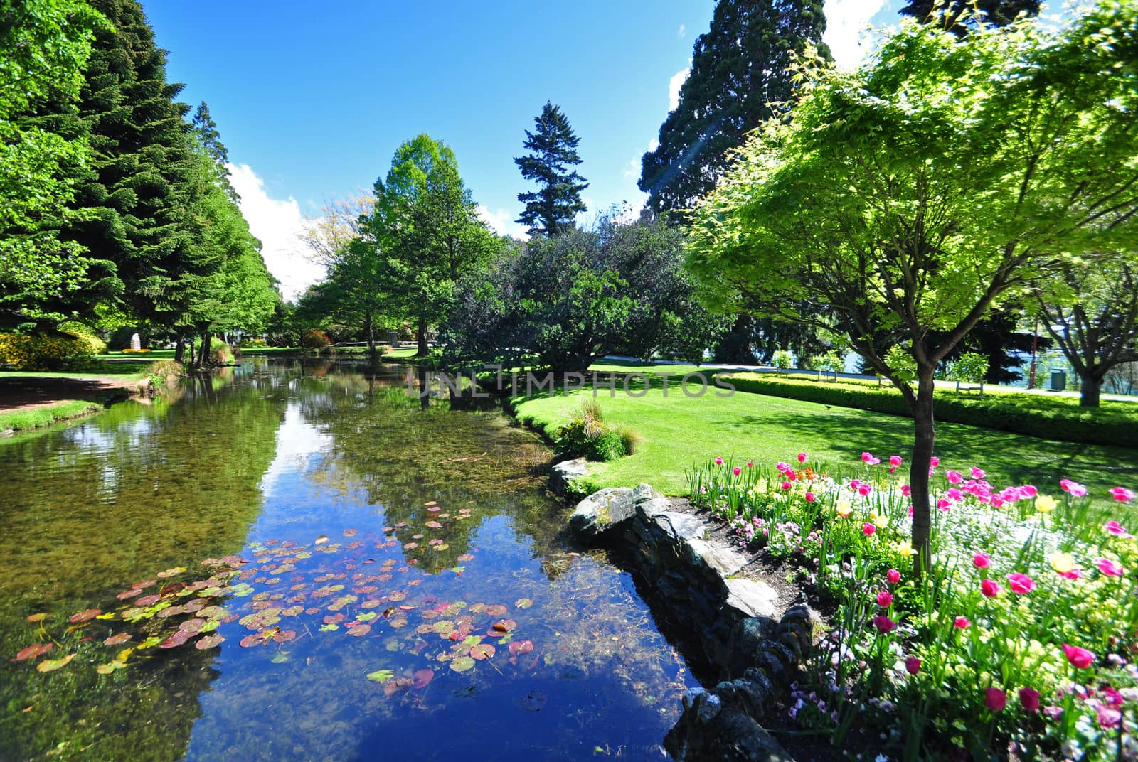 Queenstown Gardens, South Island, New Zealand. A wonderful open public space. Here the lake is seen with a boarder of tulips in the foreground