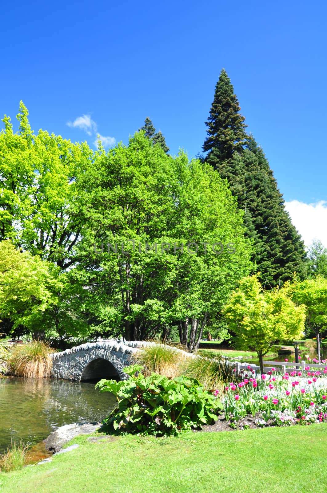 Queenstown Gardens, South Island, New Zealand. A wonderful open public space. Here the lake is seen with the stone footbridge and path