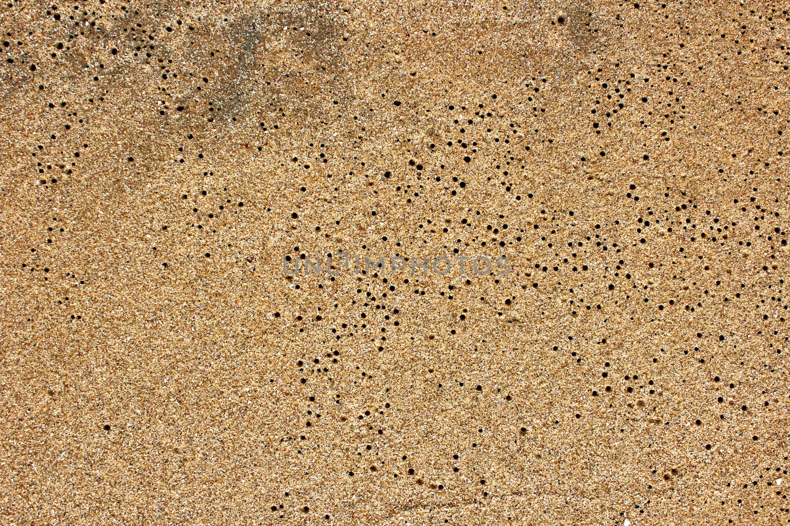 closeup of sand pattern of a beach in the summer