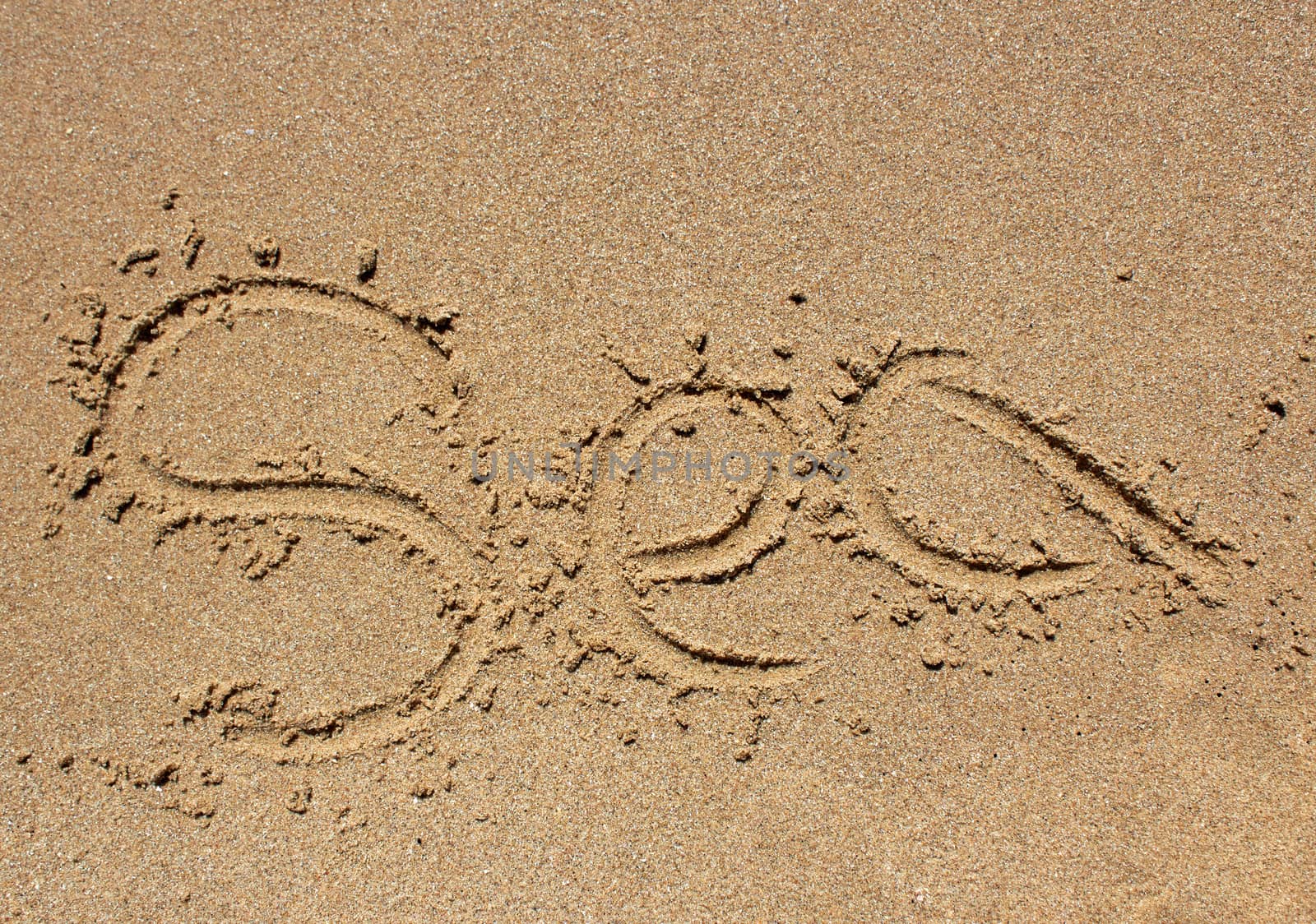 Sea word written on beach sand. by sarymsakov