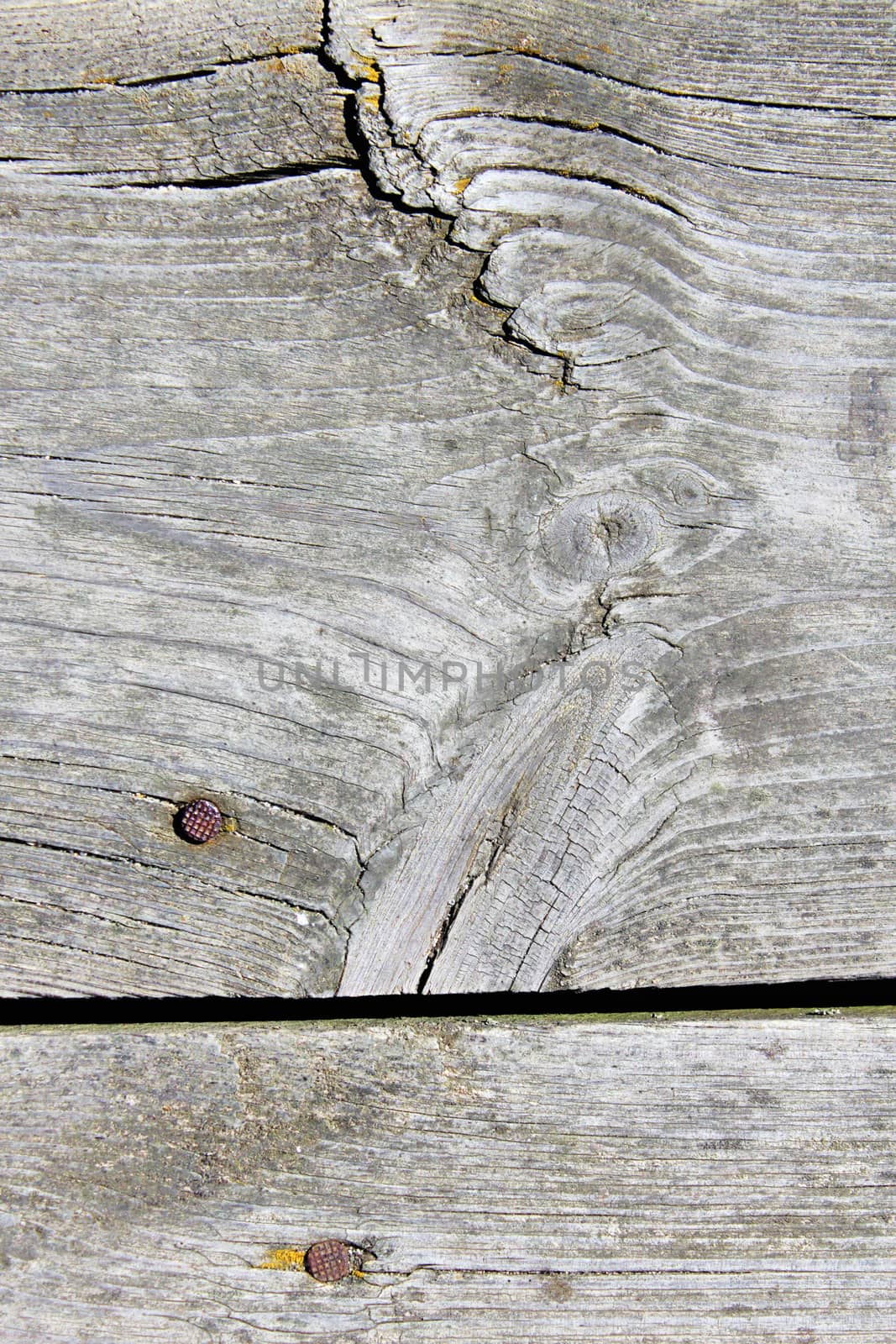 old natural wood textures by sarymsakov