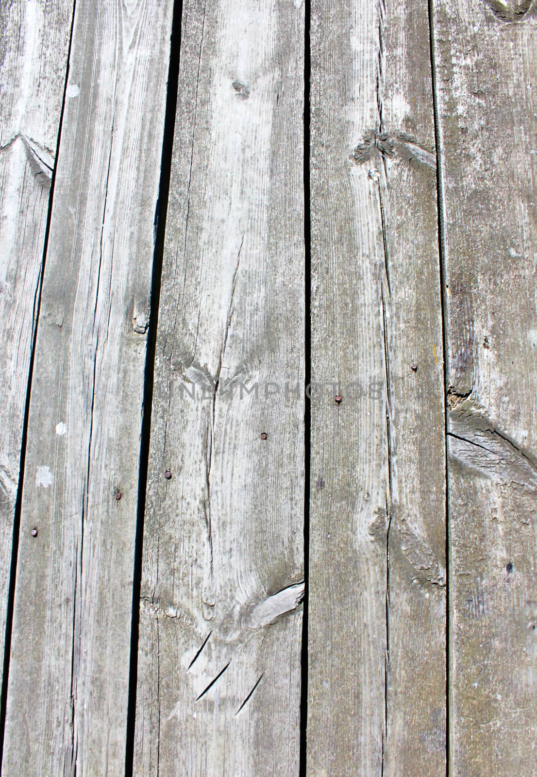 old natural wood textures by sarymsakov