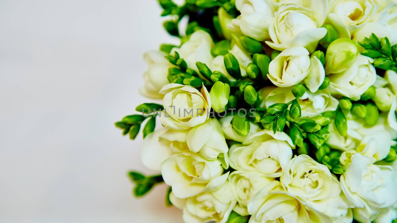 white flowers of lilac by sarymsakov