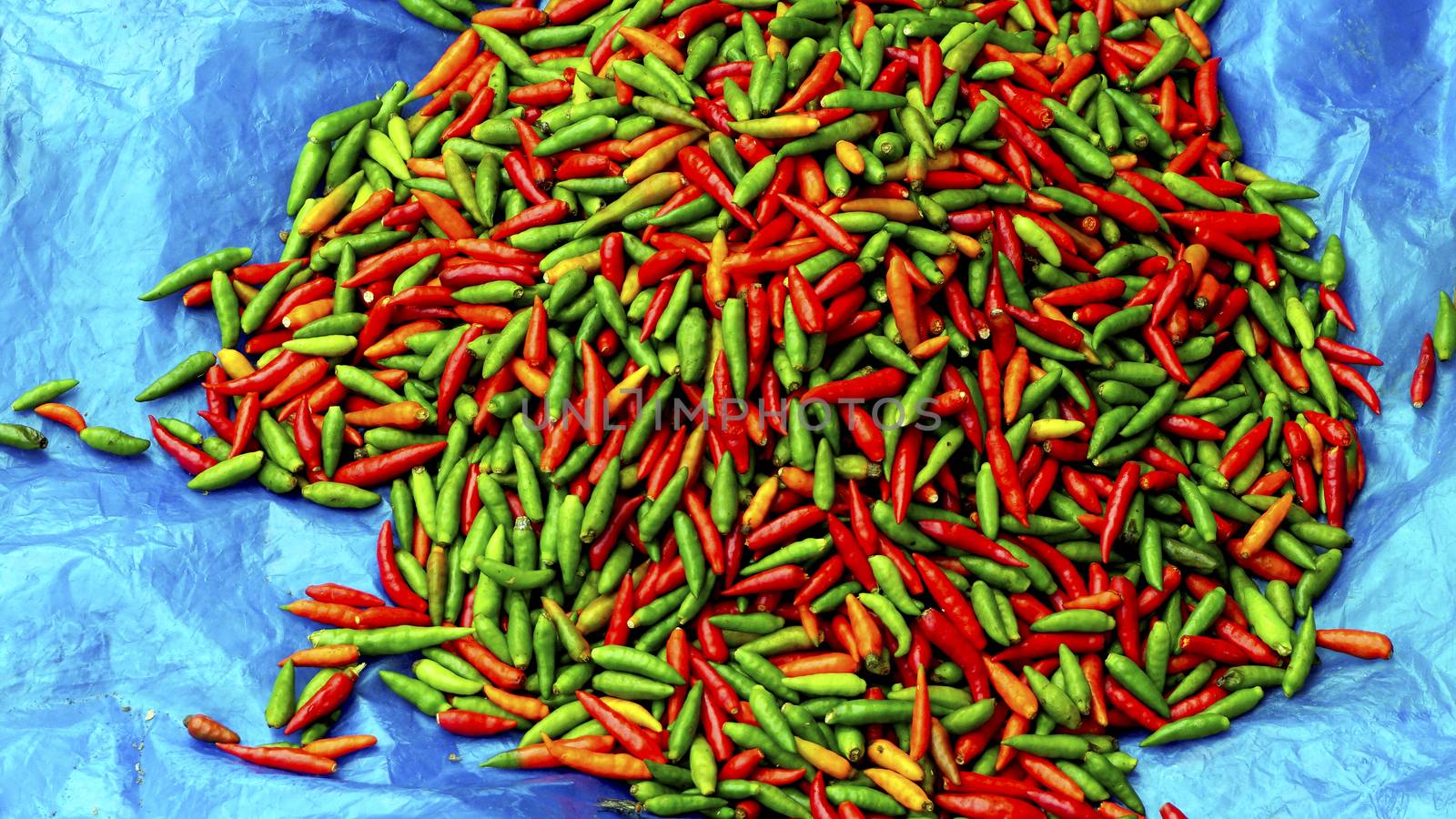 Fresh chili organic vegetables on blue canvas in Luang Prabang, Laos