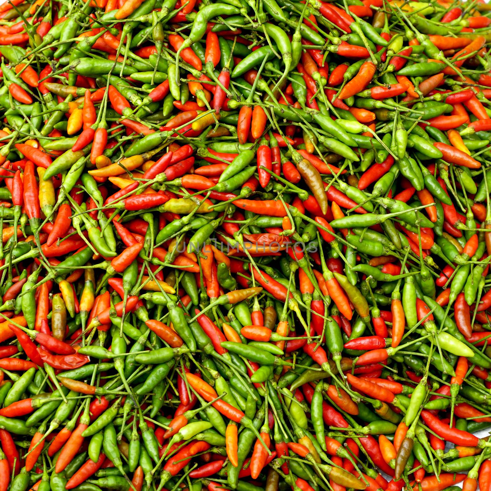 close up Fresh chili organic by polarbearstudio