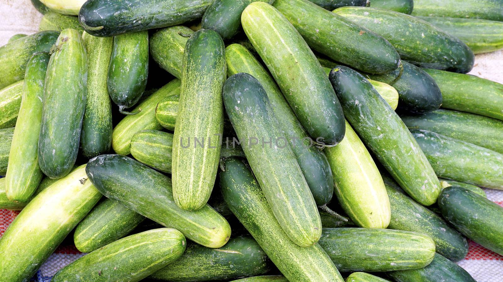 Fresh cucumber organic vegetables in farmer market  by polarbearstudio