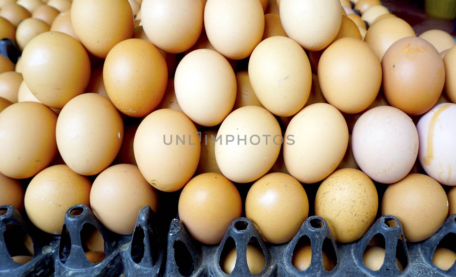 fresh eggs in Farmer market   by polarbearstudio