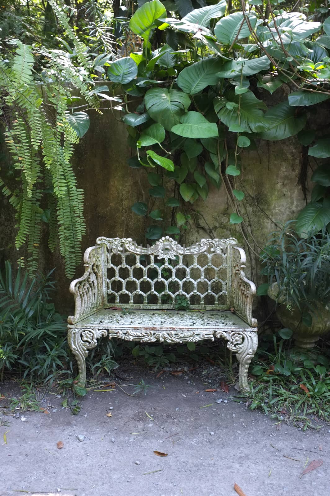 White chair in garden