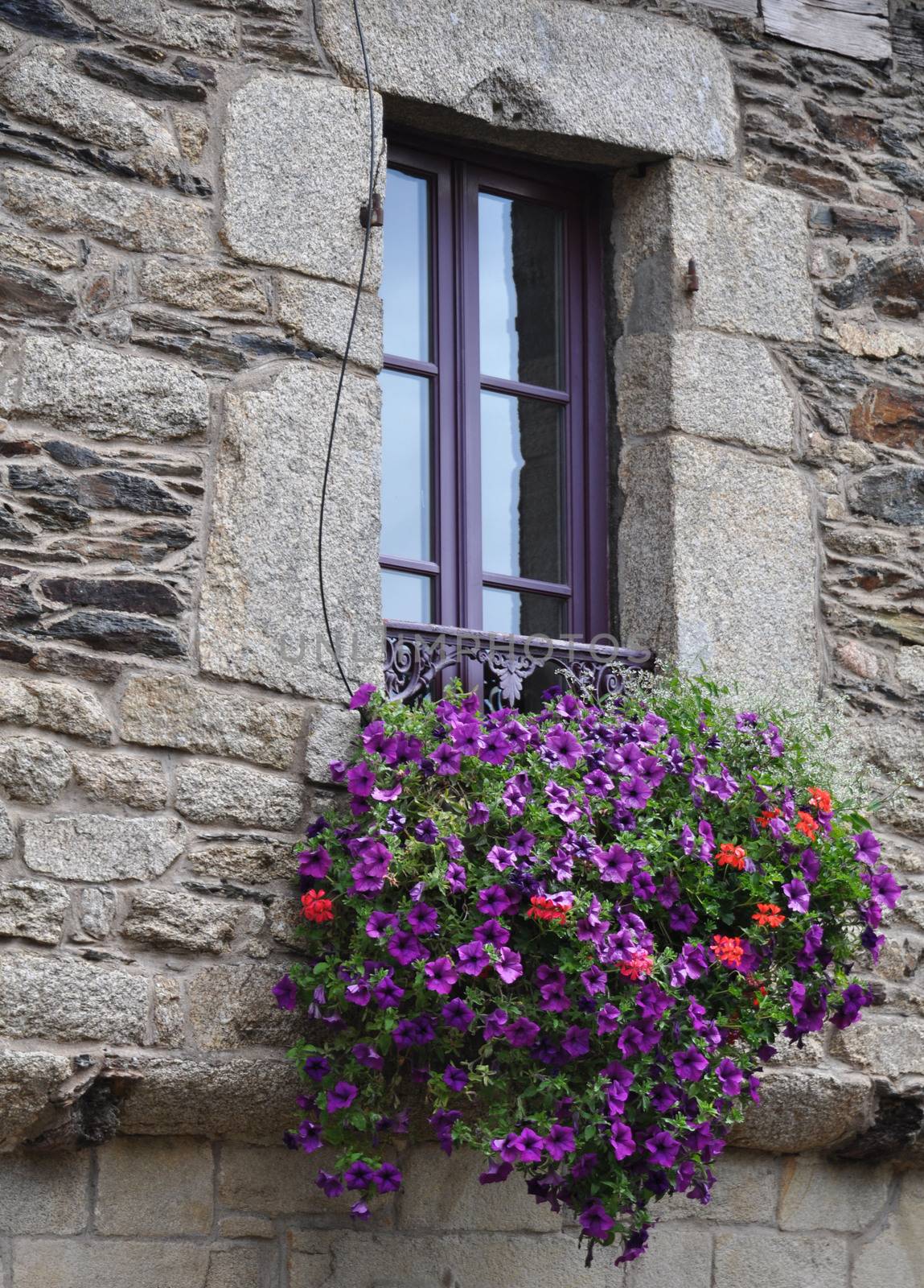 Pretty window Rochefort-en-Terre, France. by dpe123