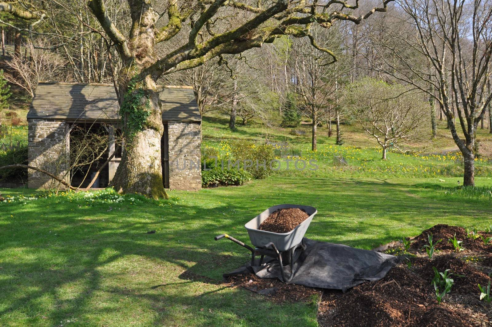 Garden outhouse and barrow. Set within a large English country garden in spring.