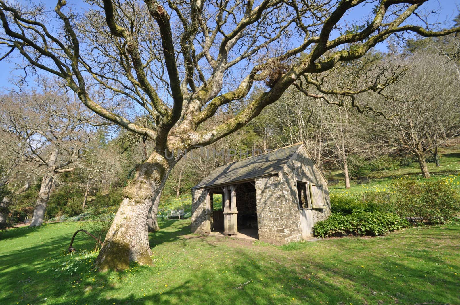 Garden outhouse. Set within a large English country garden in spring.