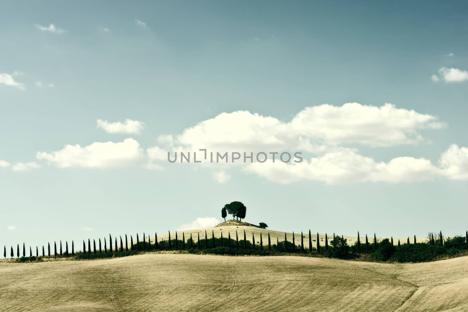 Hills of Tuscany by gkuna