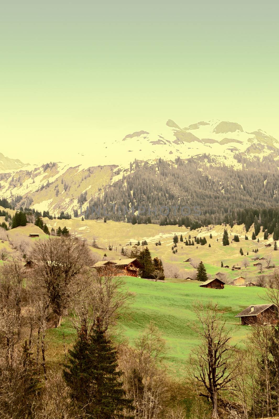 The Small Village High up in the Swiss Alps, Vintage Style Toned Picture