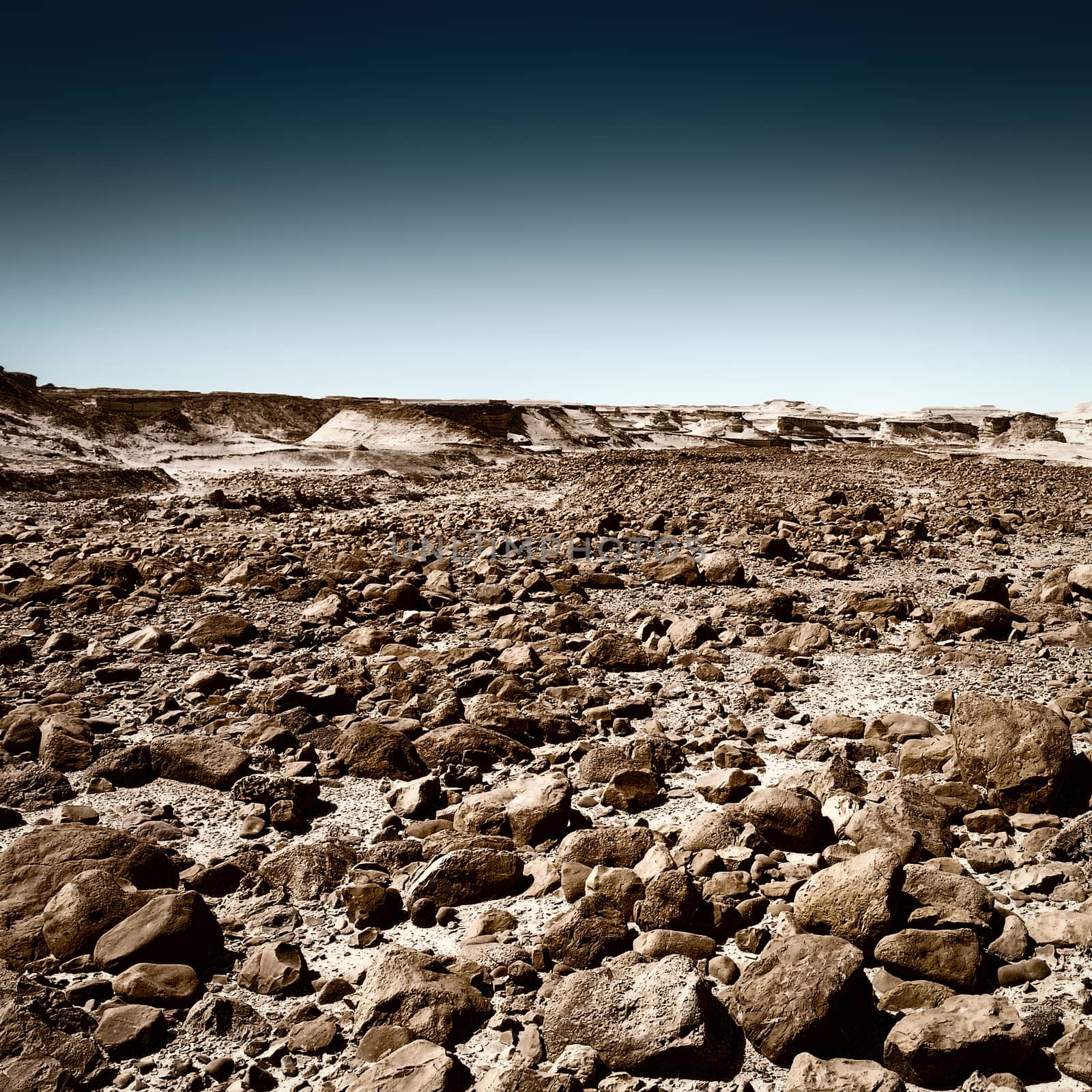 Stone Desert by gkuna
