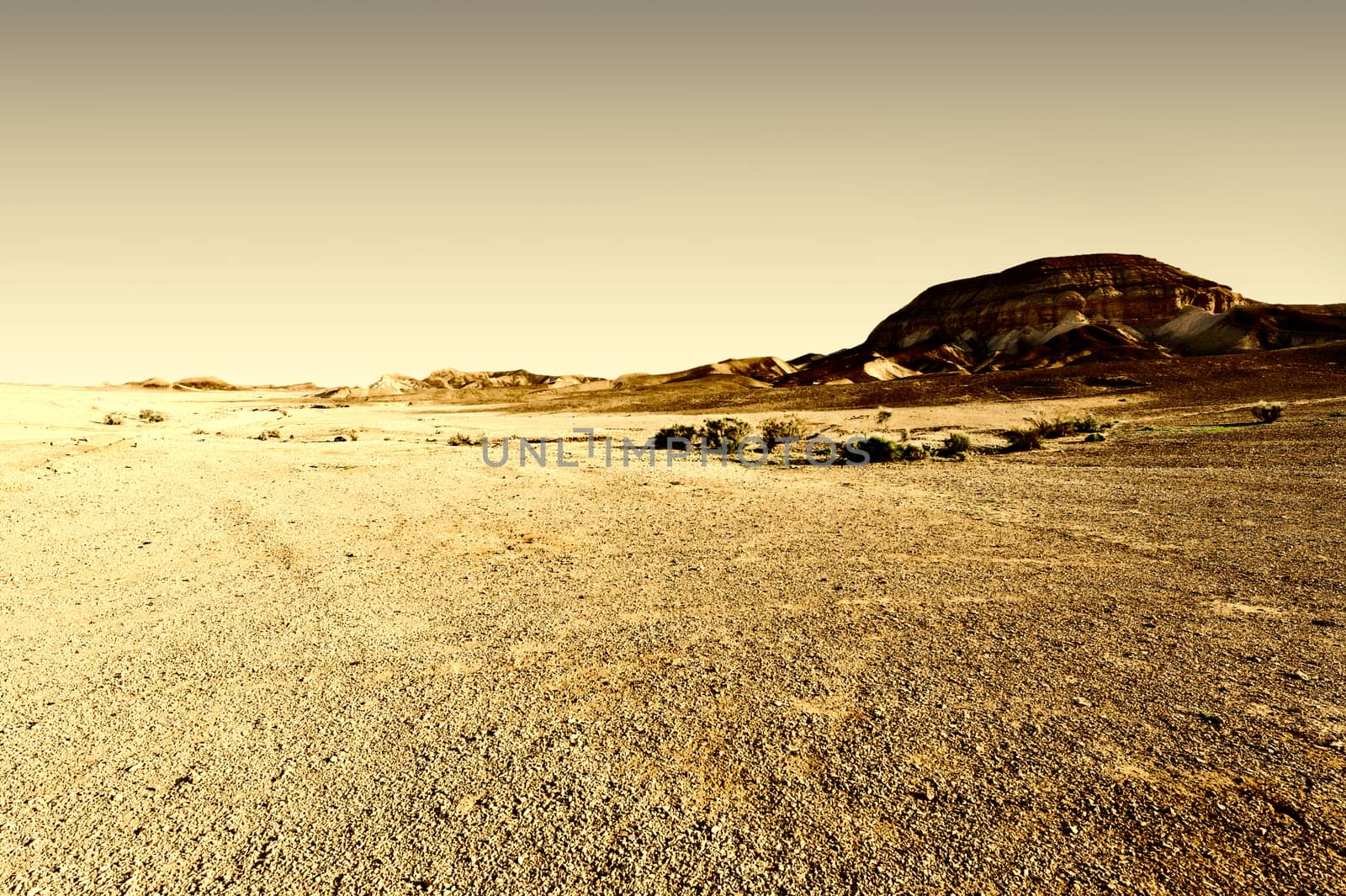 Judean Desert by gkuna