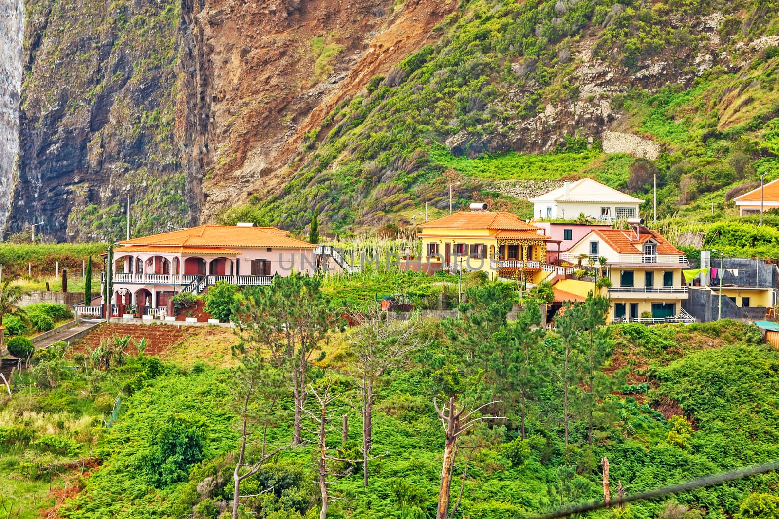 Faial, Madeira - June 7, 2013: View of typical houses somewhere near village Faial, rocks in the background, green nature in the foreground.