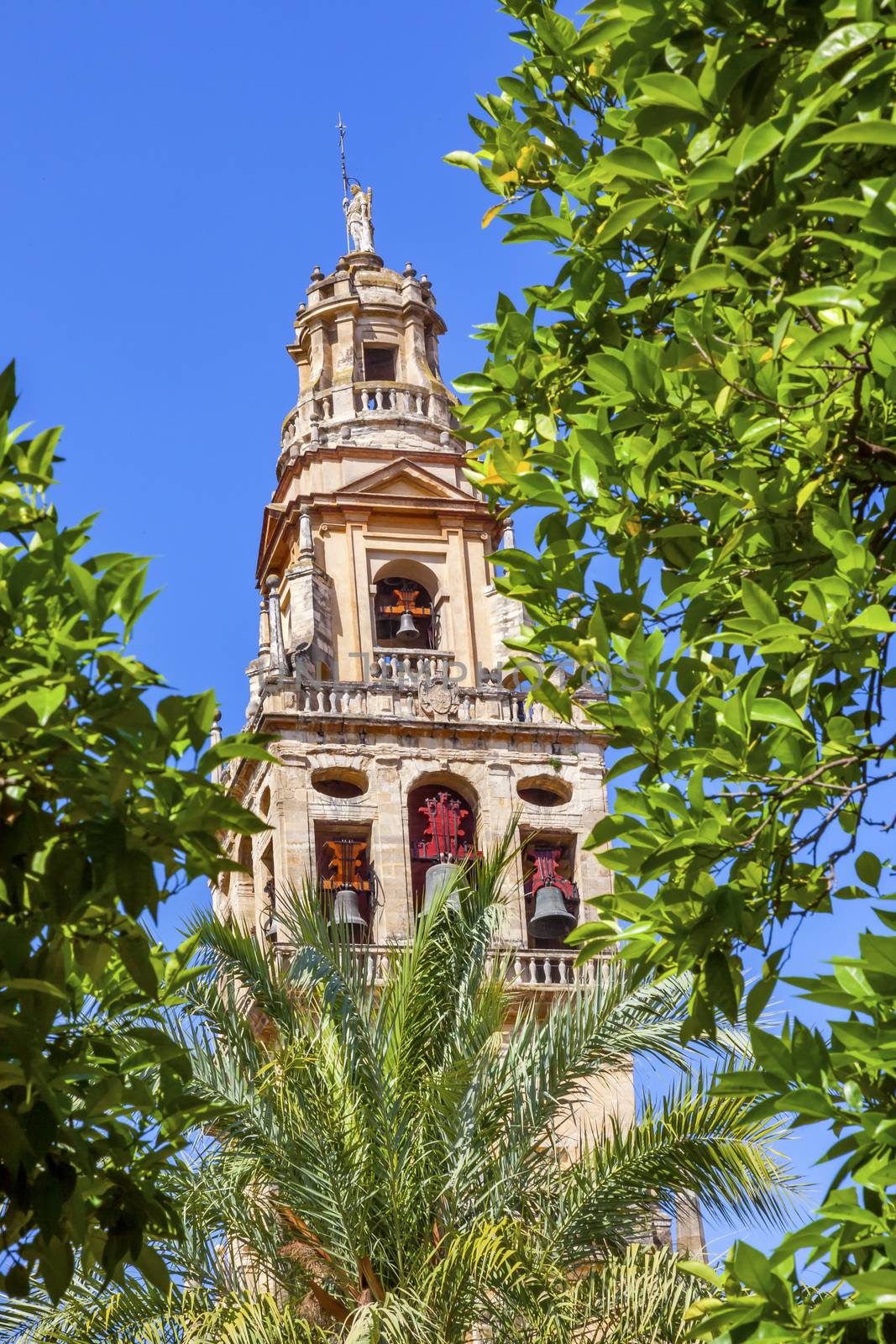 Torre del Aliminar Tower Trees Mezquita Cordoba Spain by bill_perry