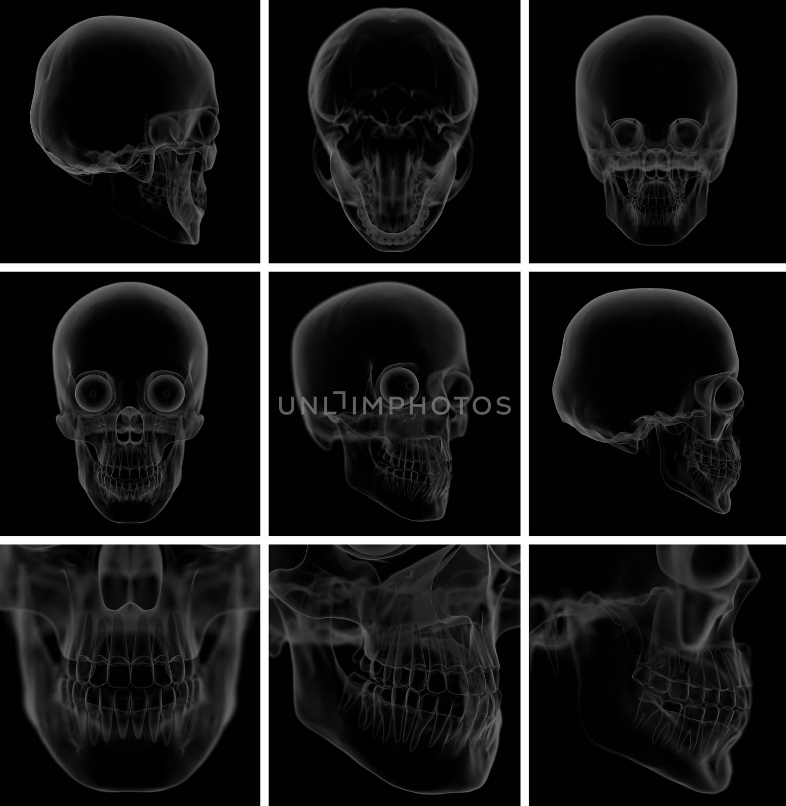 3d render skull on  background by maya2008