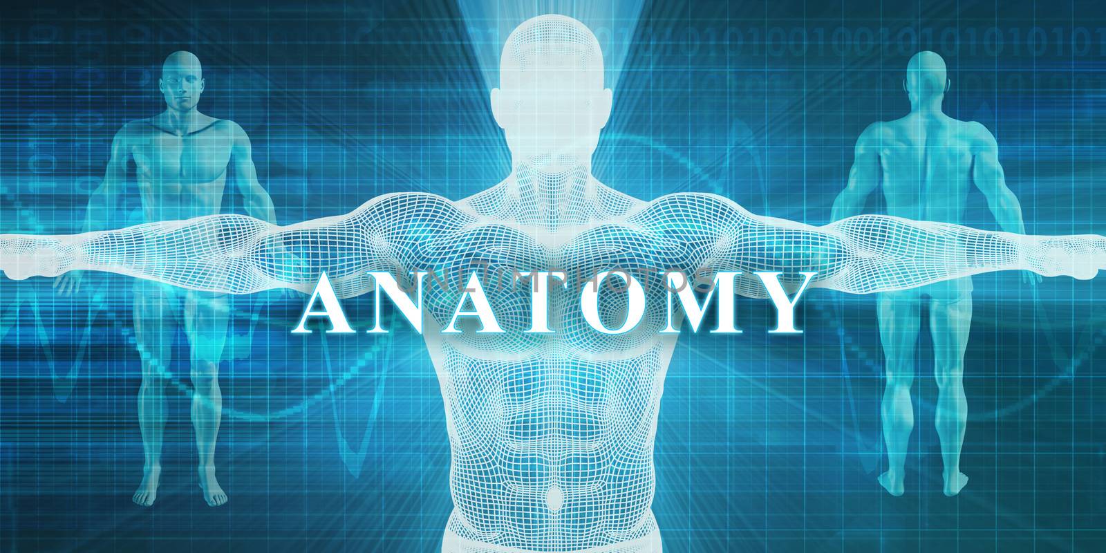 Anatomy as a Medical Specialty Field or Department