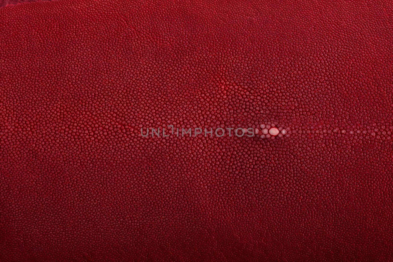 Stingray exotic fish leather, red color skin