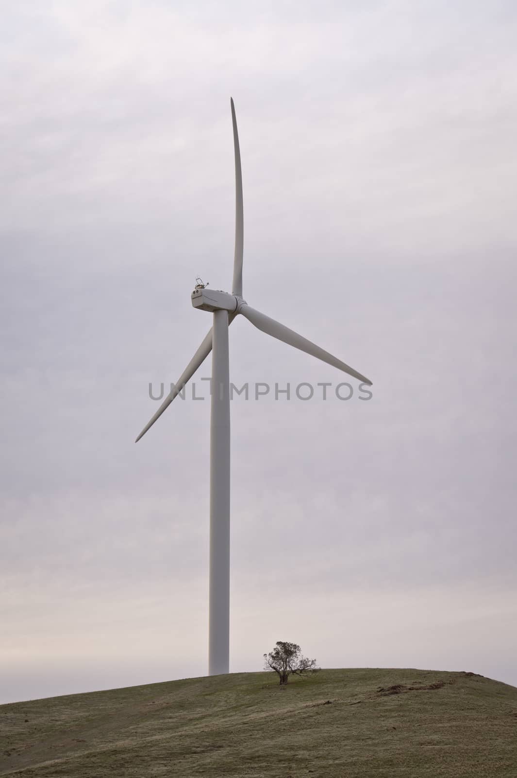 Modern windmills on a rural wind farm