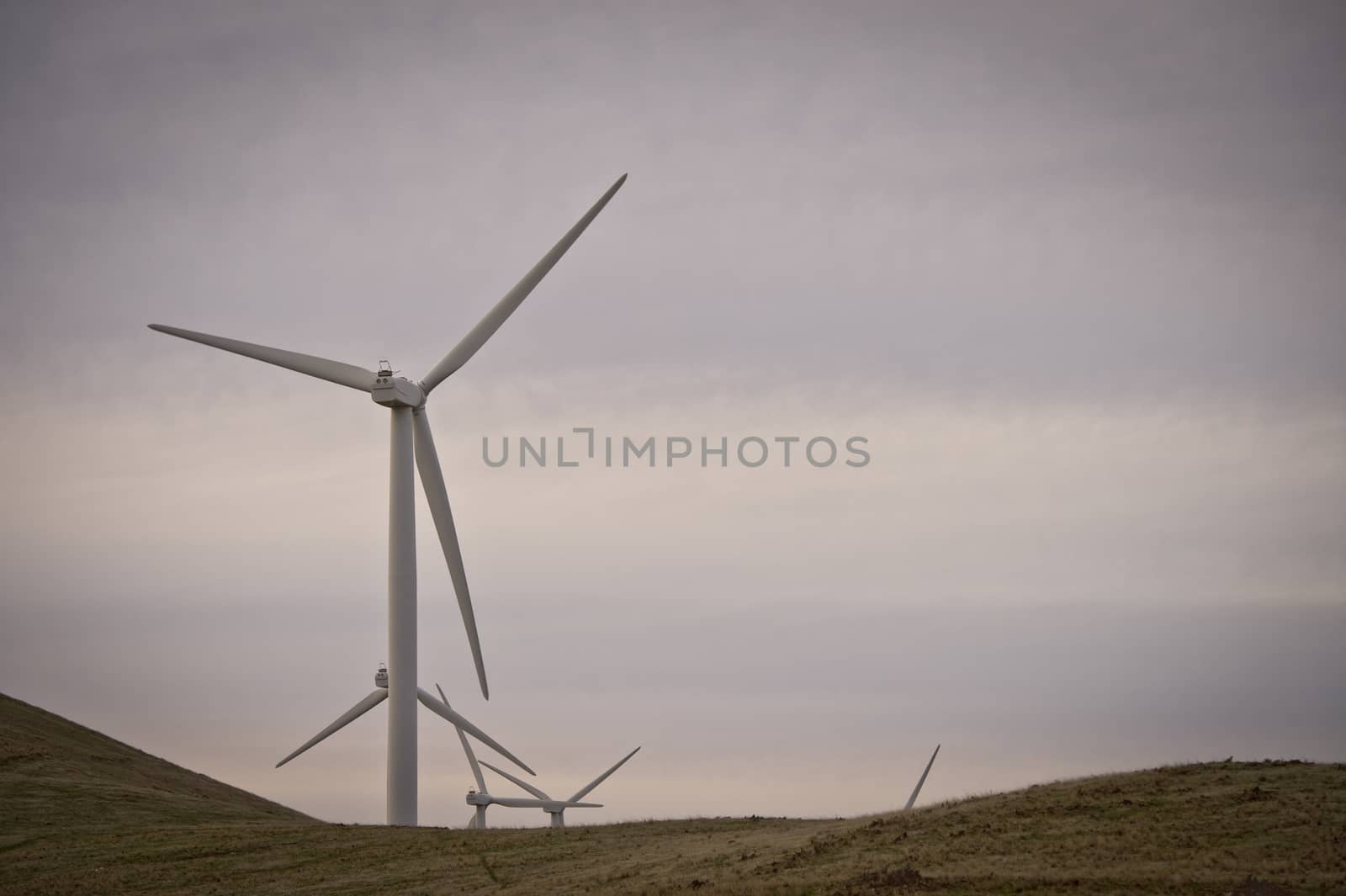 Modern windmills on a rural wind farm