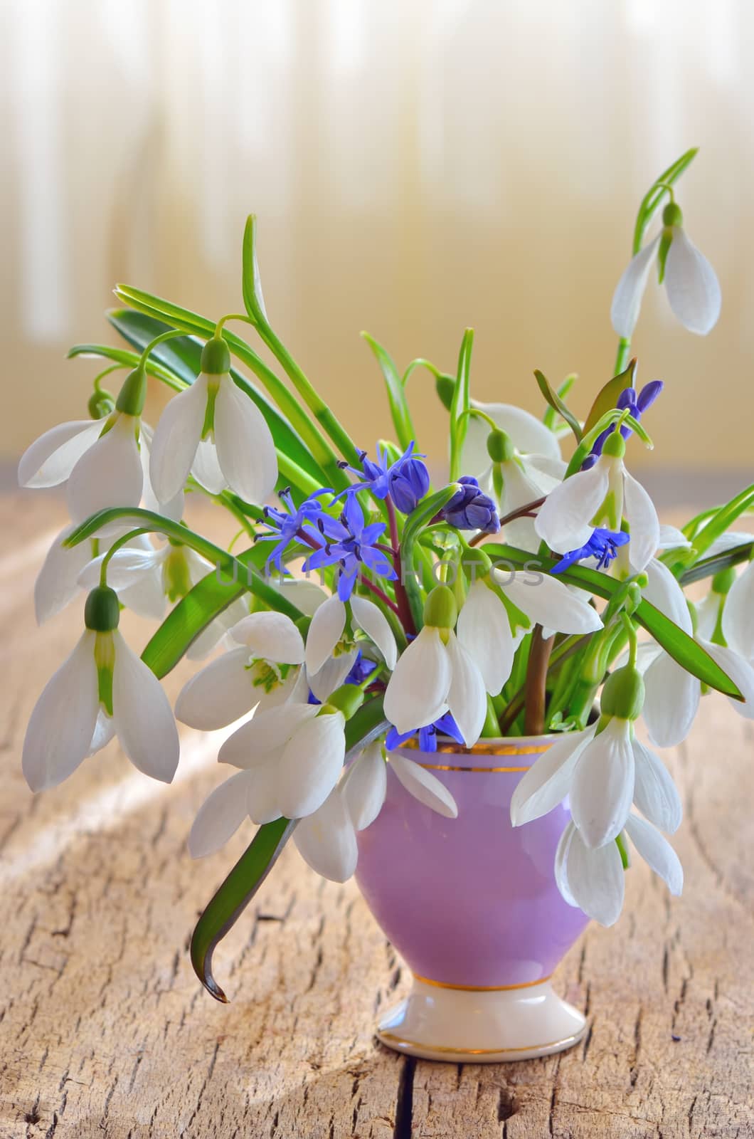 Snowdrops in vase on wooden background