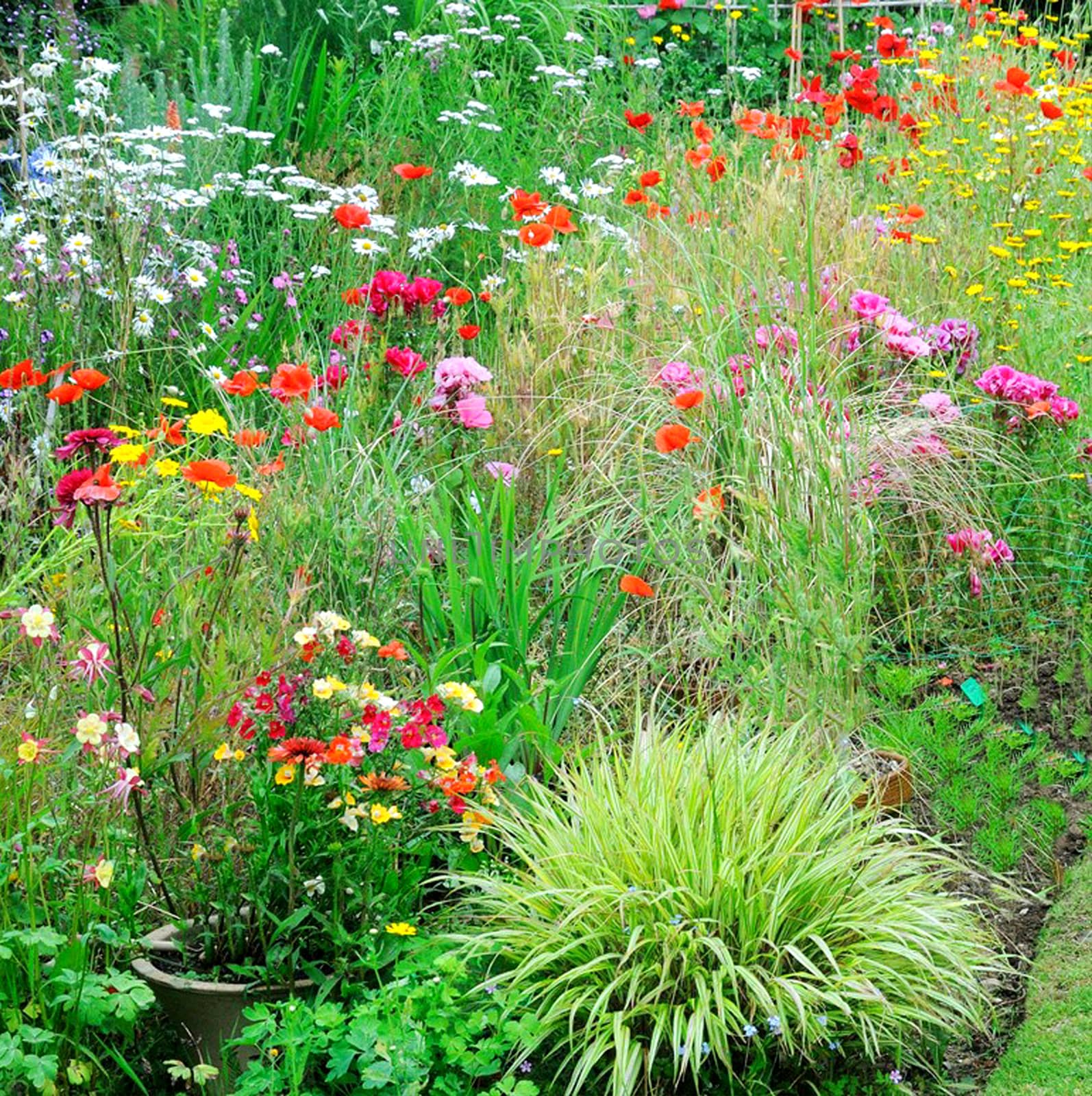 Garden scene resonant of such a sight all over the world where people sculpt,design and tend thier little piece of heaven.