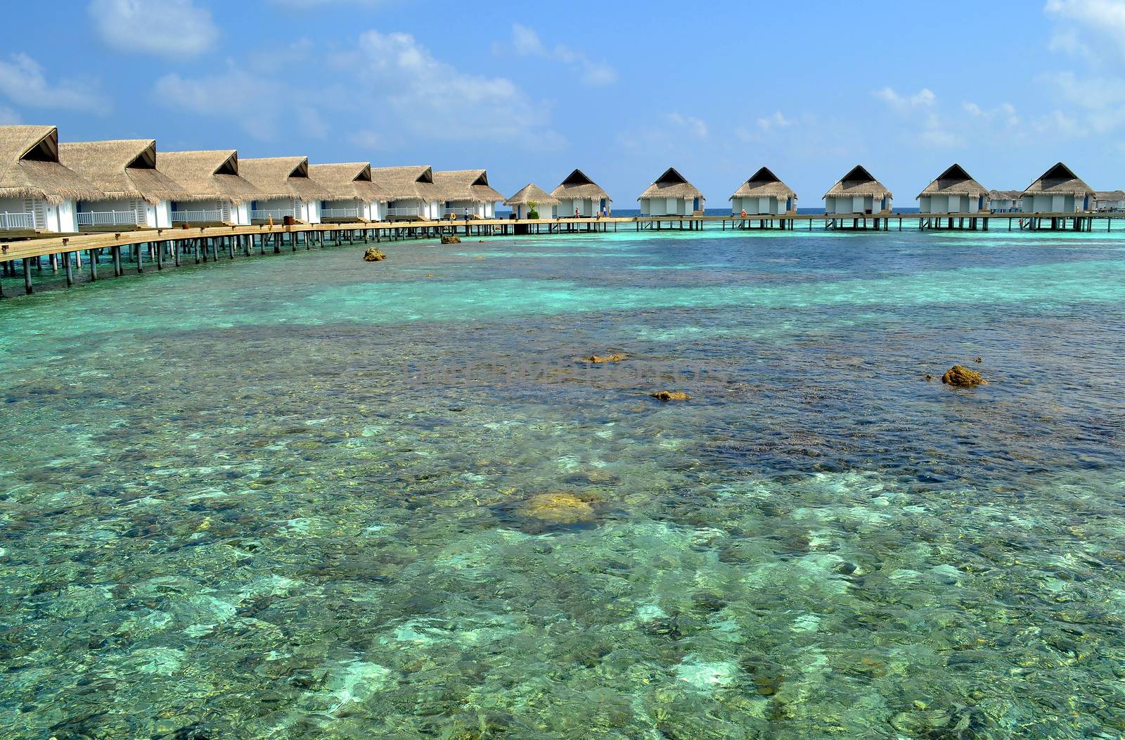 Water Villas on the cystal water with coral reef