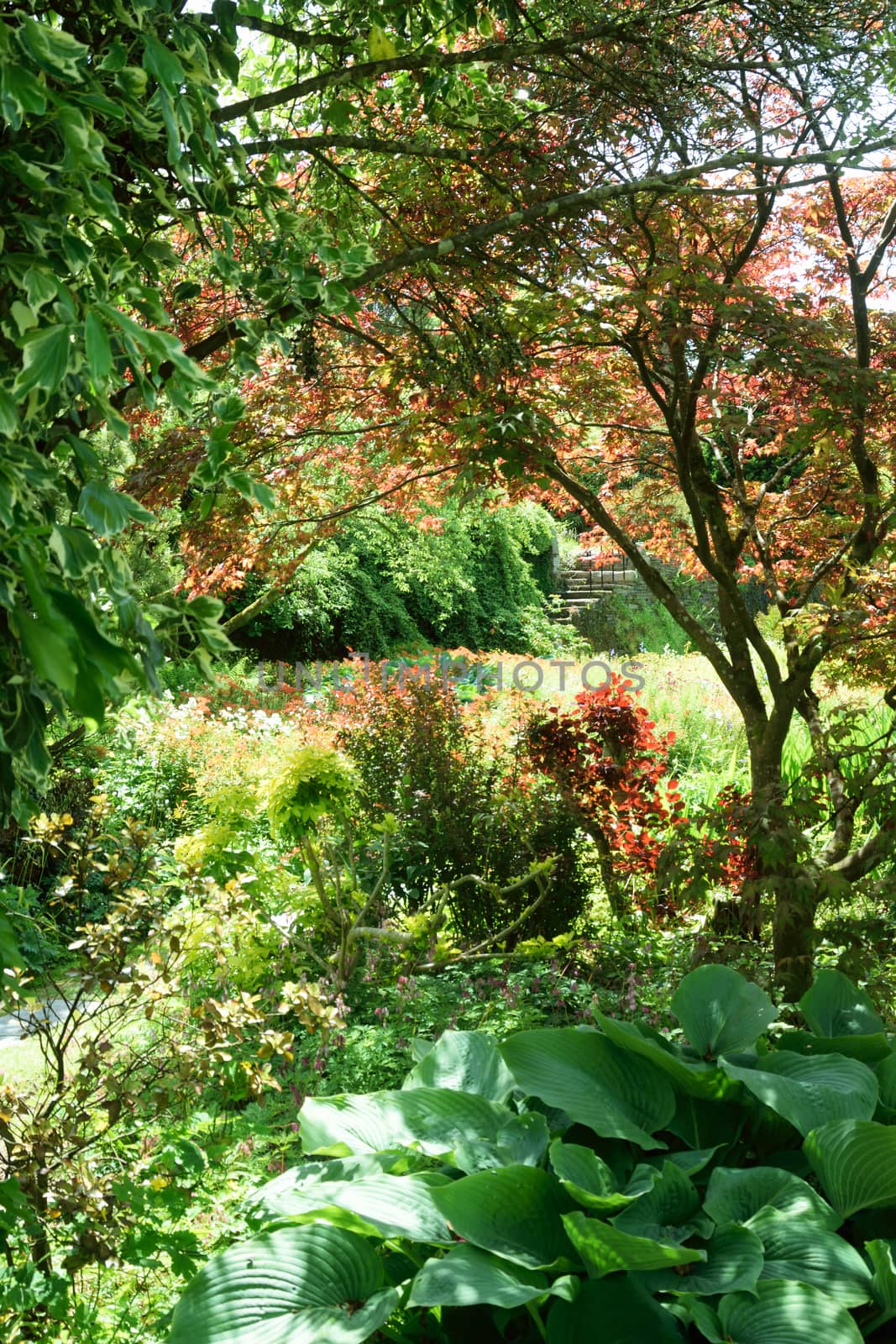 Garden scene resonant of such a sight all over the world where people sculpt desing and tend thier little piece of heaven.