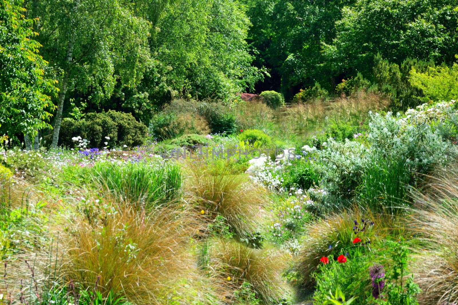 Garden scene resonant of such a sight all over the world where people sculpt desing and tend thier little piece of heaven.