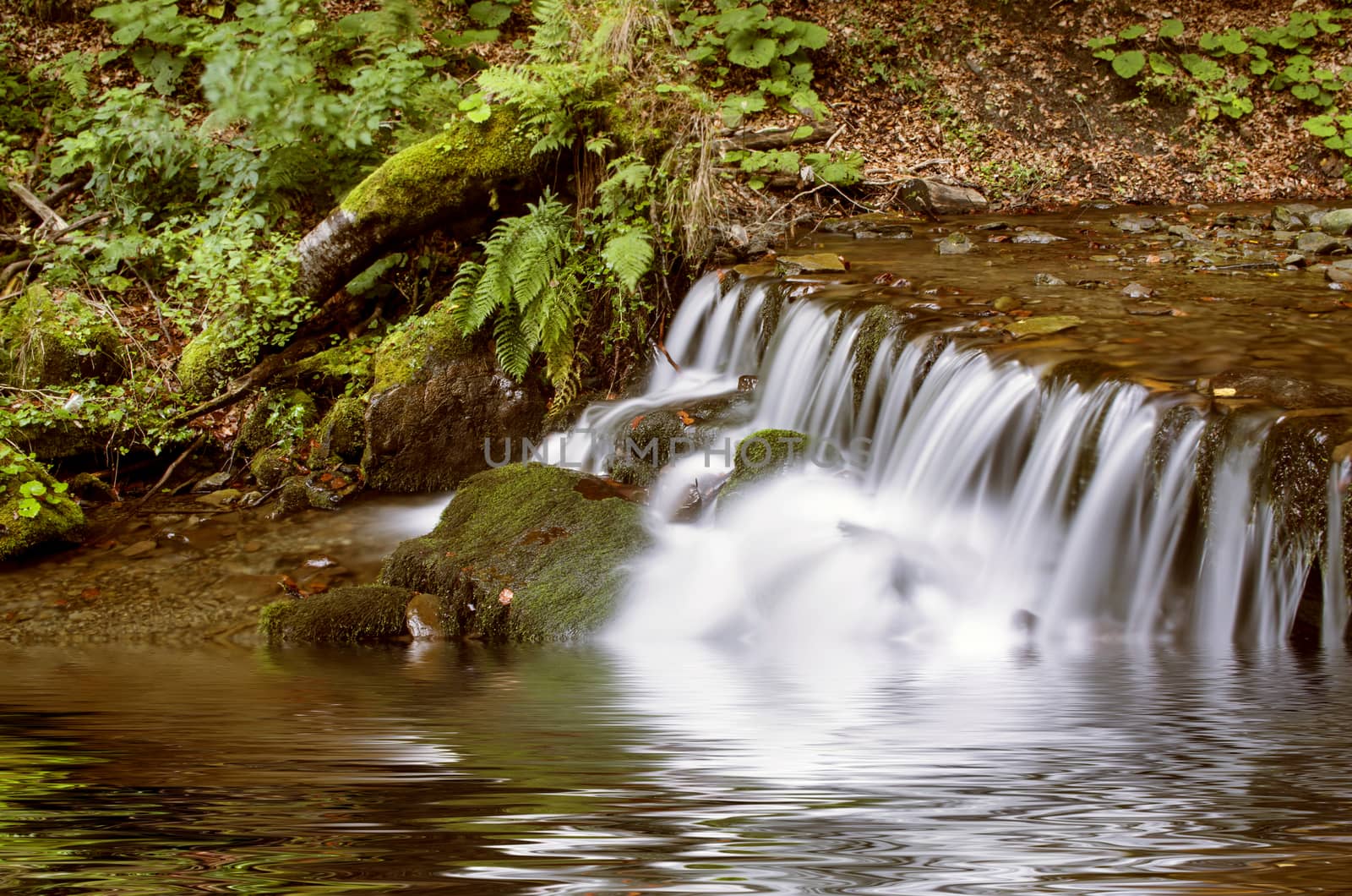 Beautiful autumn waterfall in forest with green foliage by dolnikow