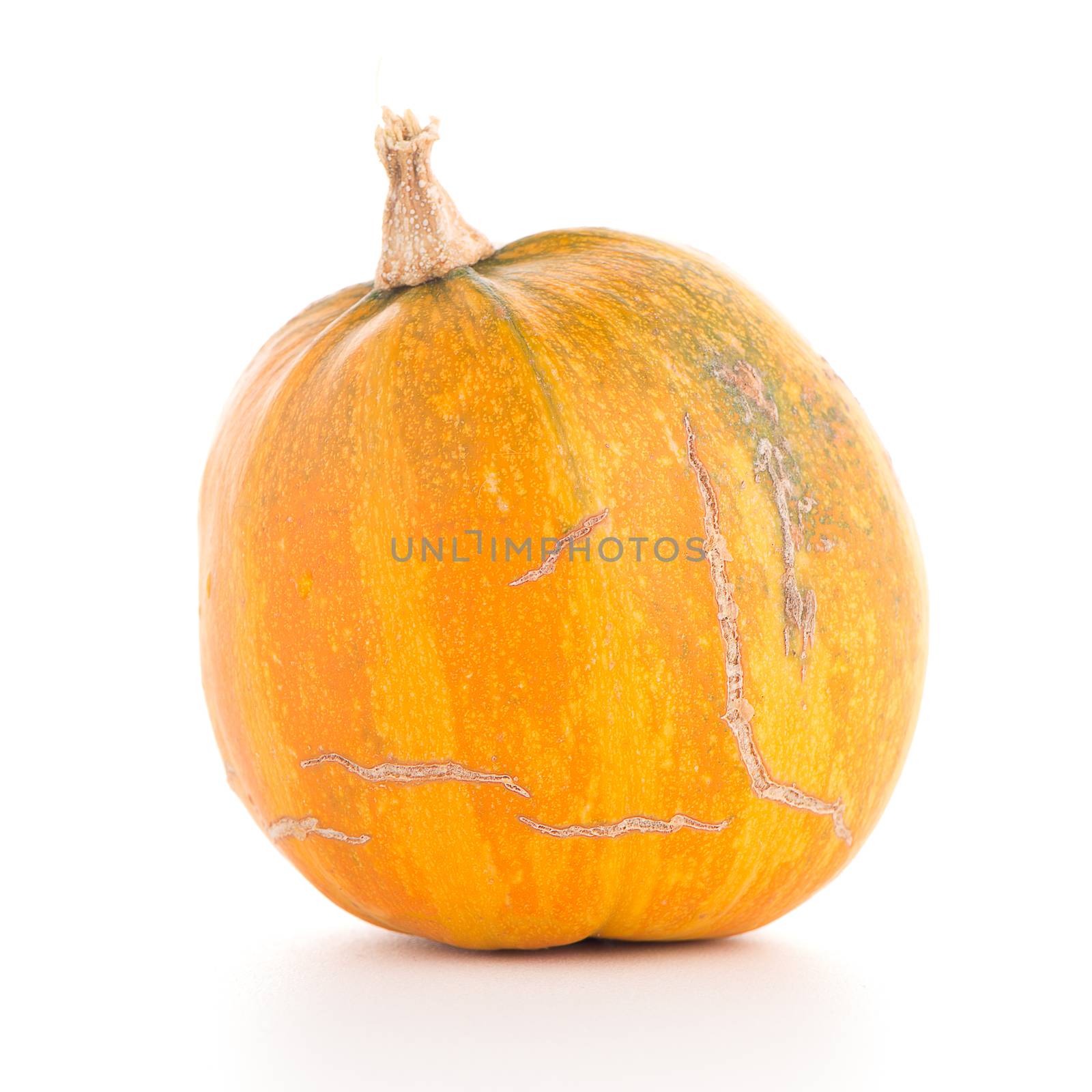 Pumpkin isolated on white background