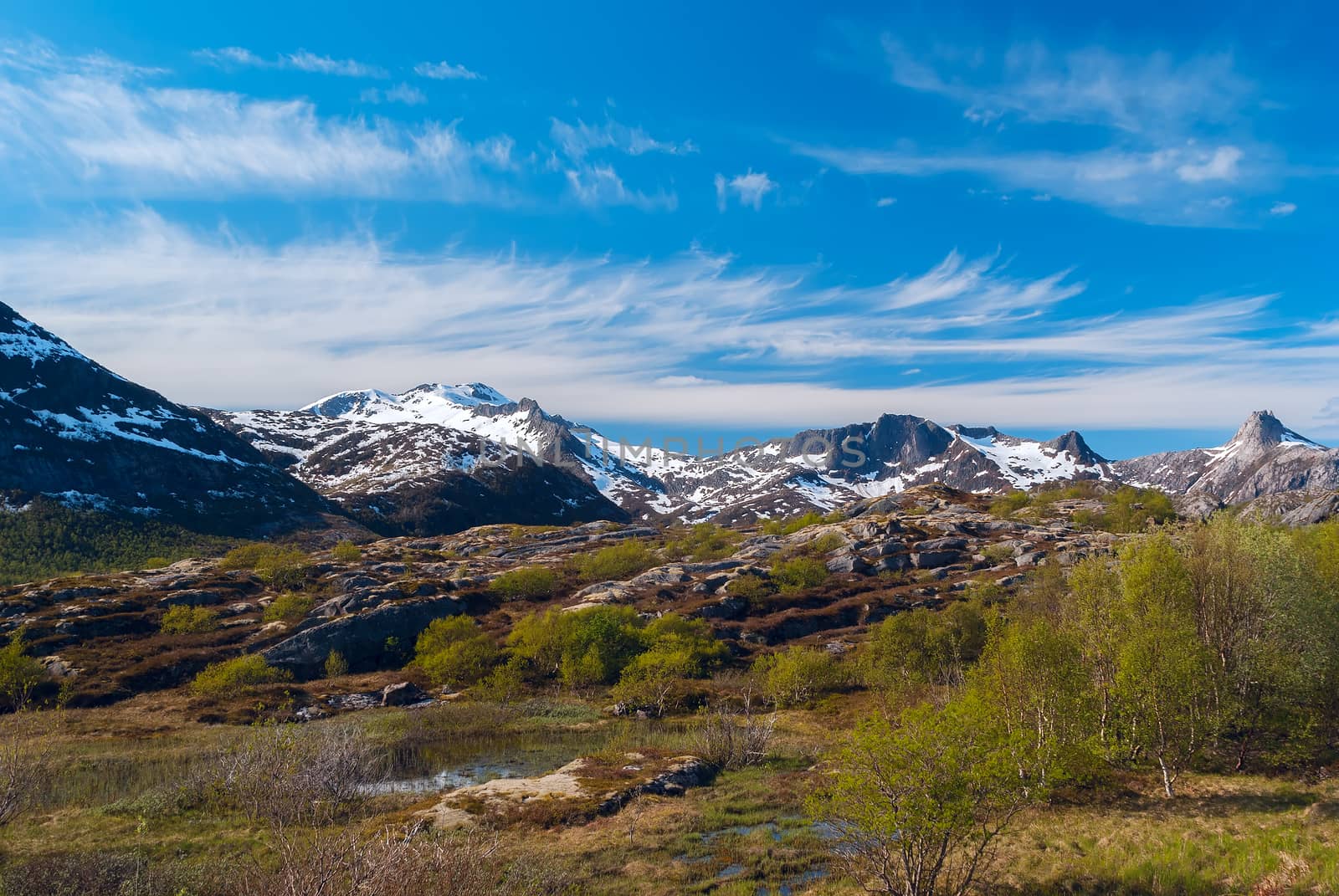Norwegian high mountain pass in sunny summer day