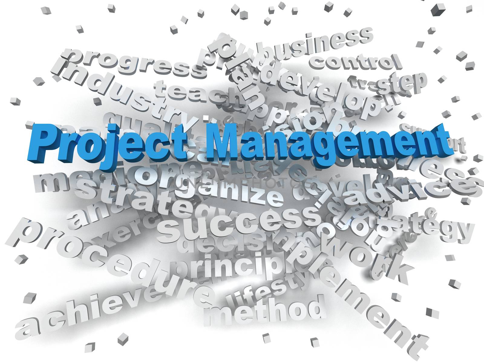 3d image Project Management word cloud concept