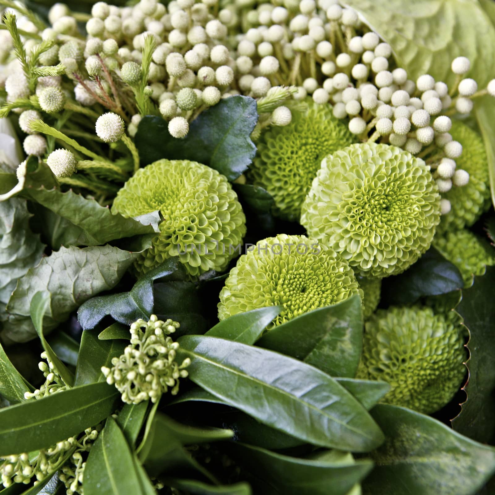 Bunch of flowers, displayed in a bunch