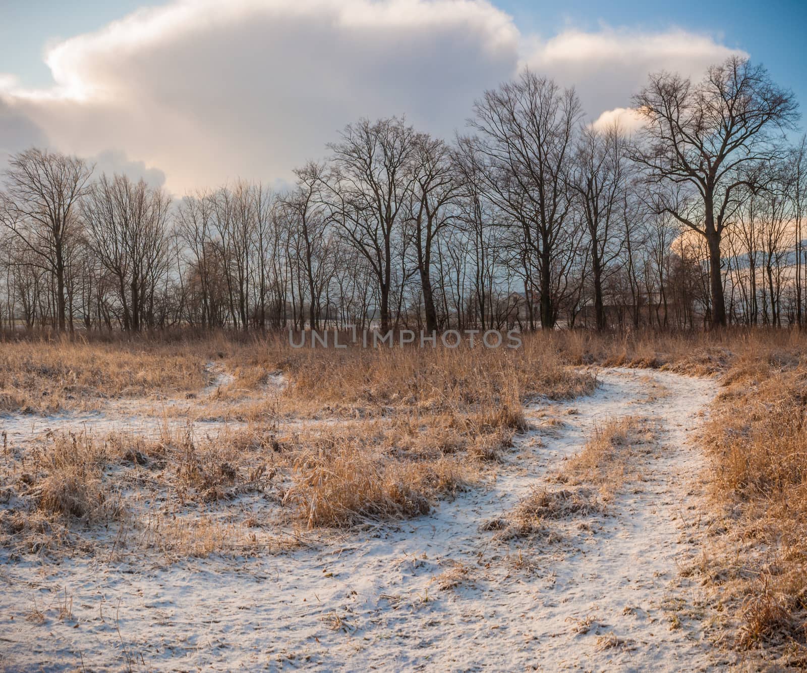 country road leading up to the horizon line , nature series