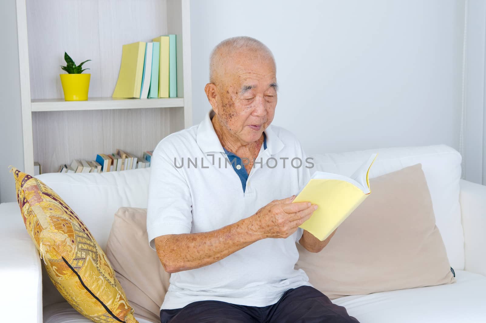 Portrait of an old man reading a book