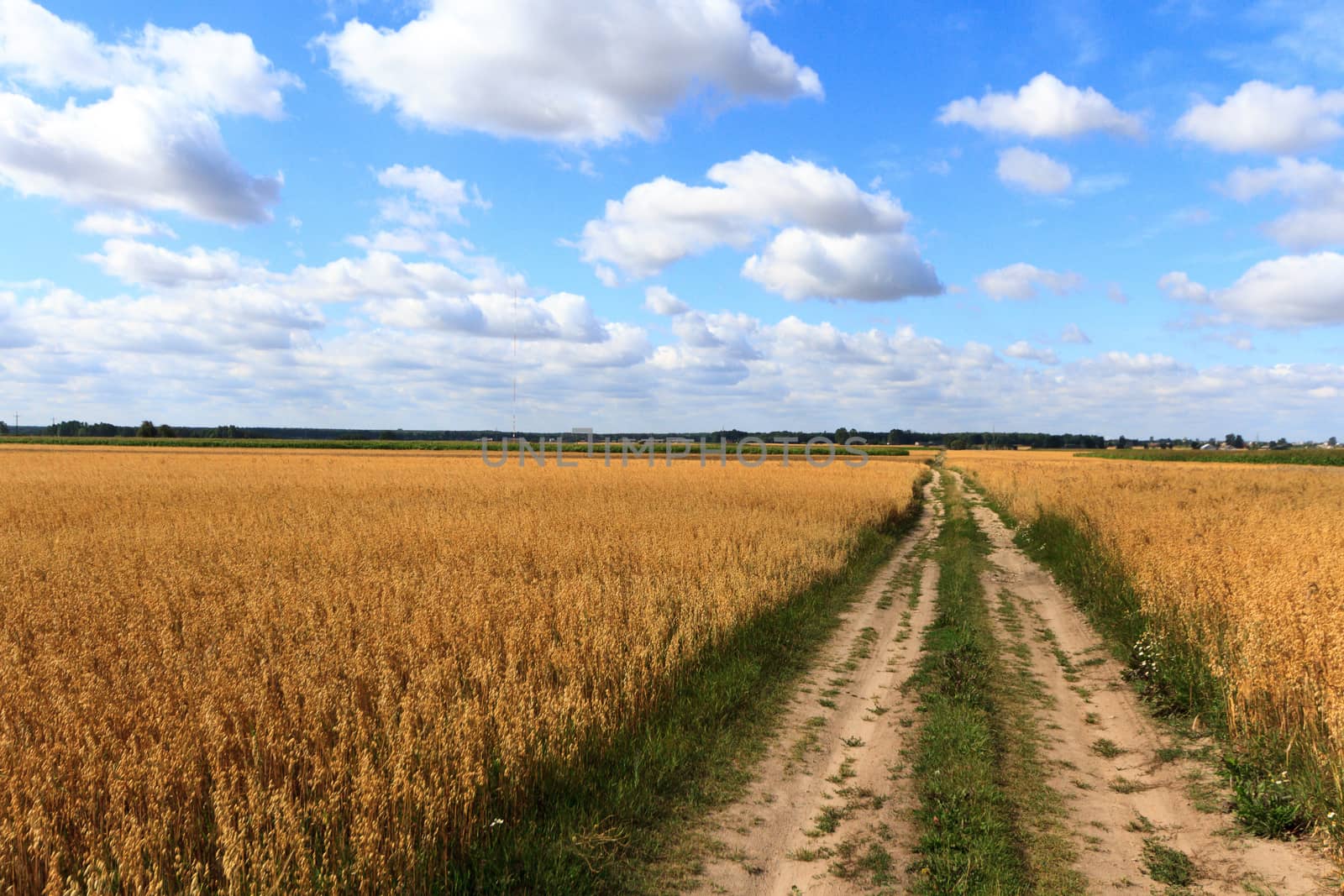 agricultural field, nature and agriculture farming series