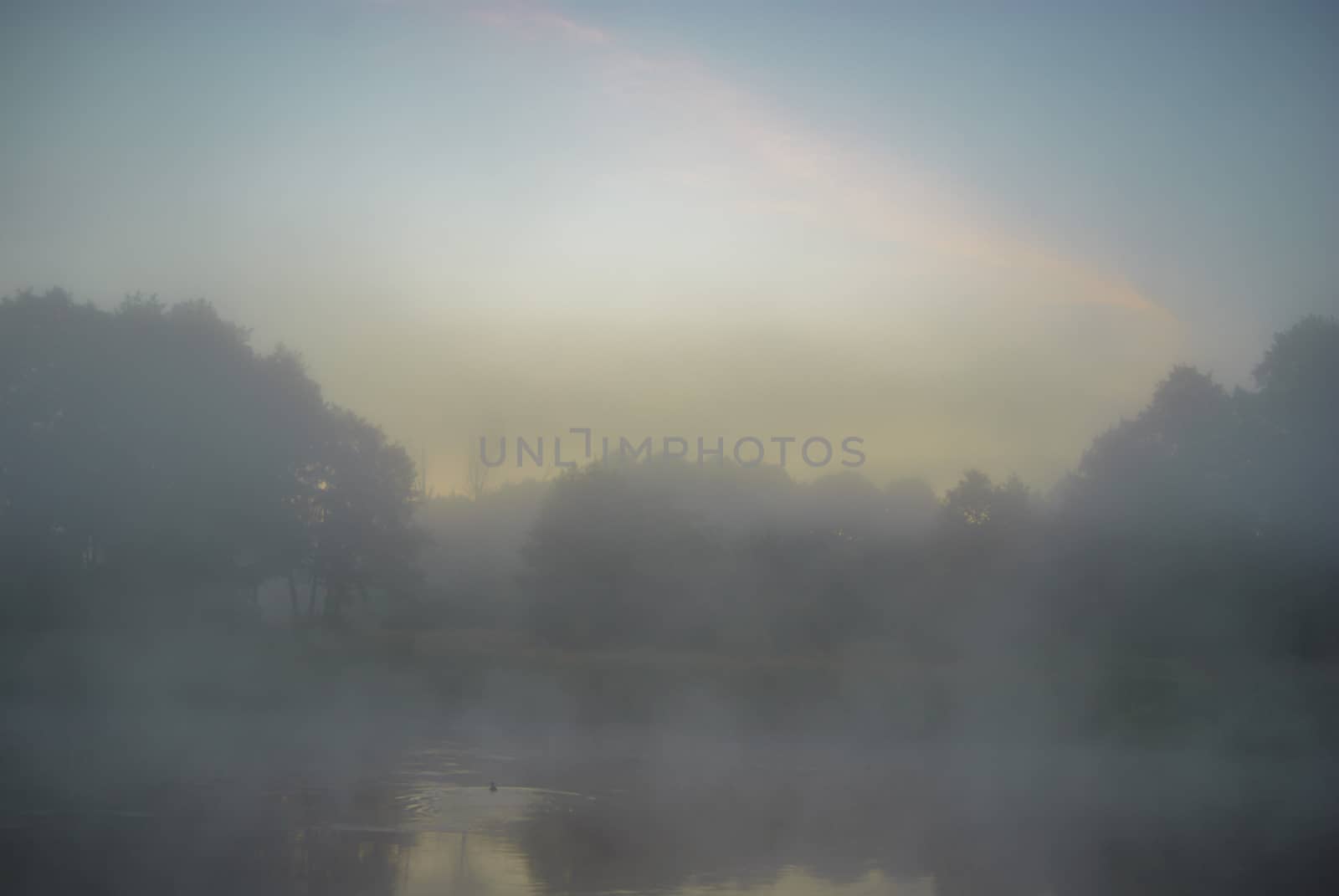 landscape with natural foggy river, nature series