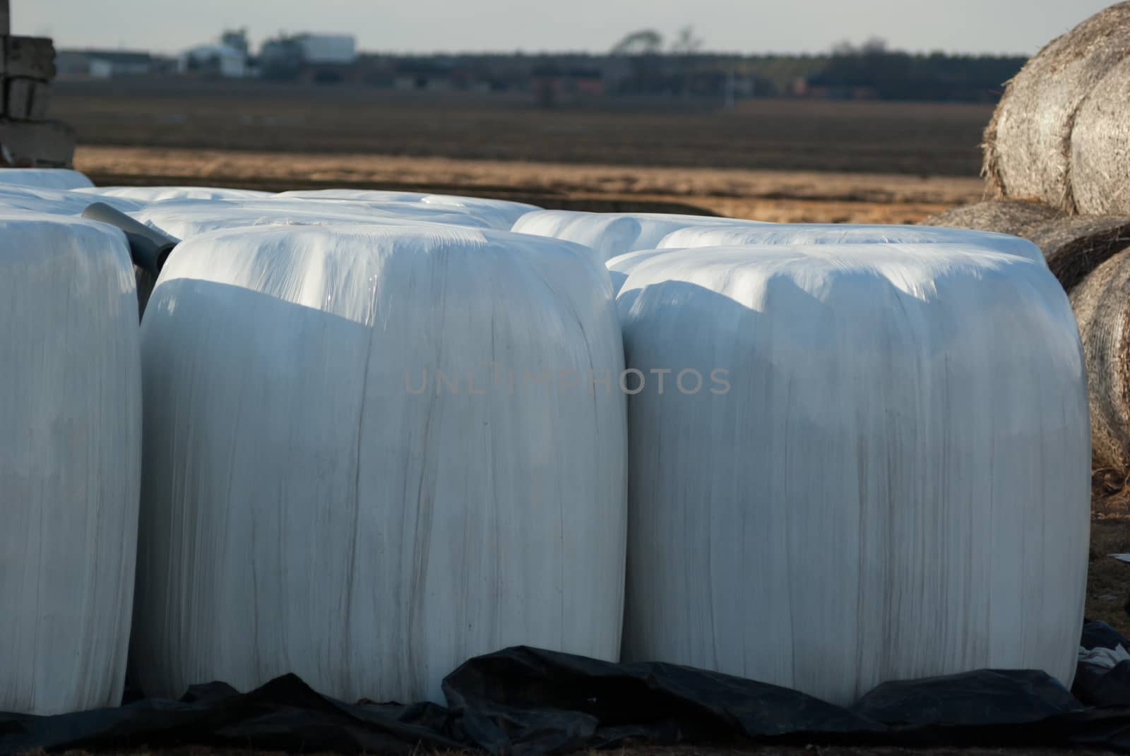 silage, bales, hay bales, plastic wrap cover for wheat cereal bales outdoor