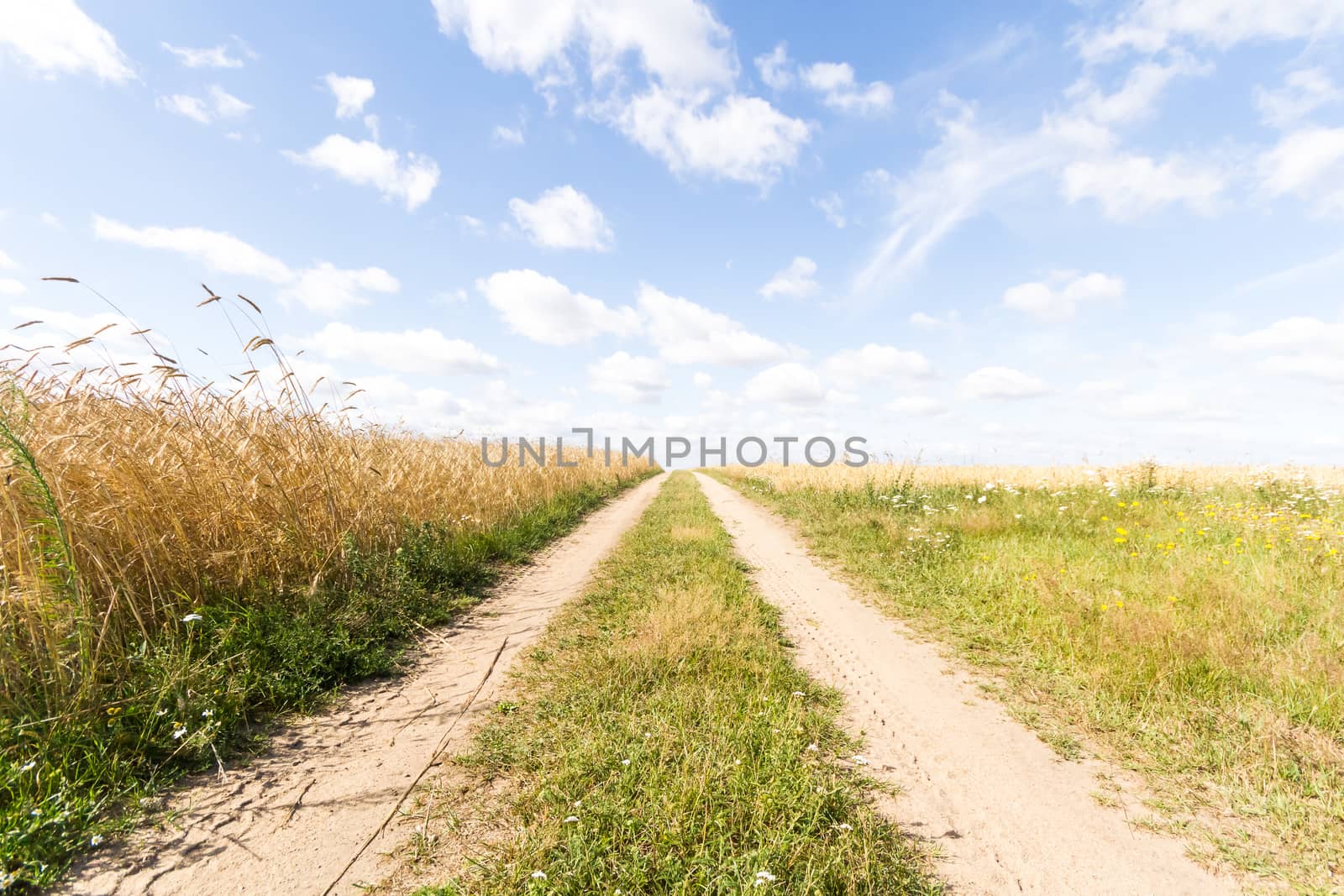 agricultural field, nature and agriculture farming series