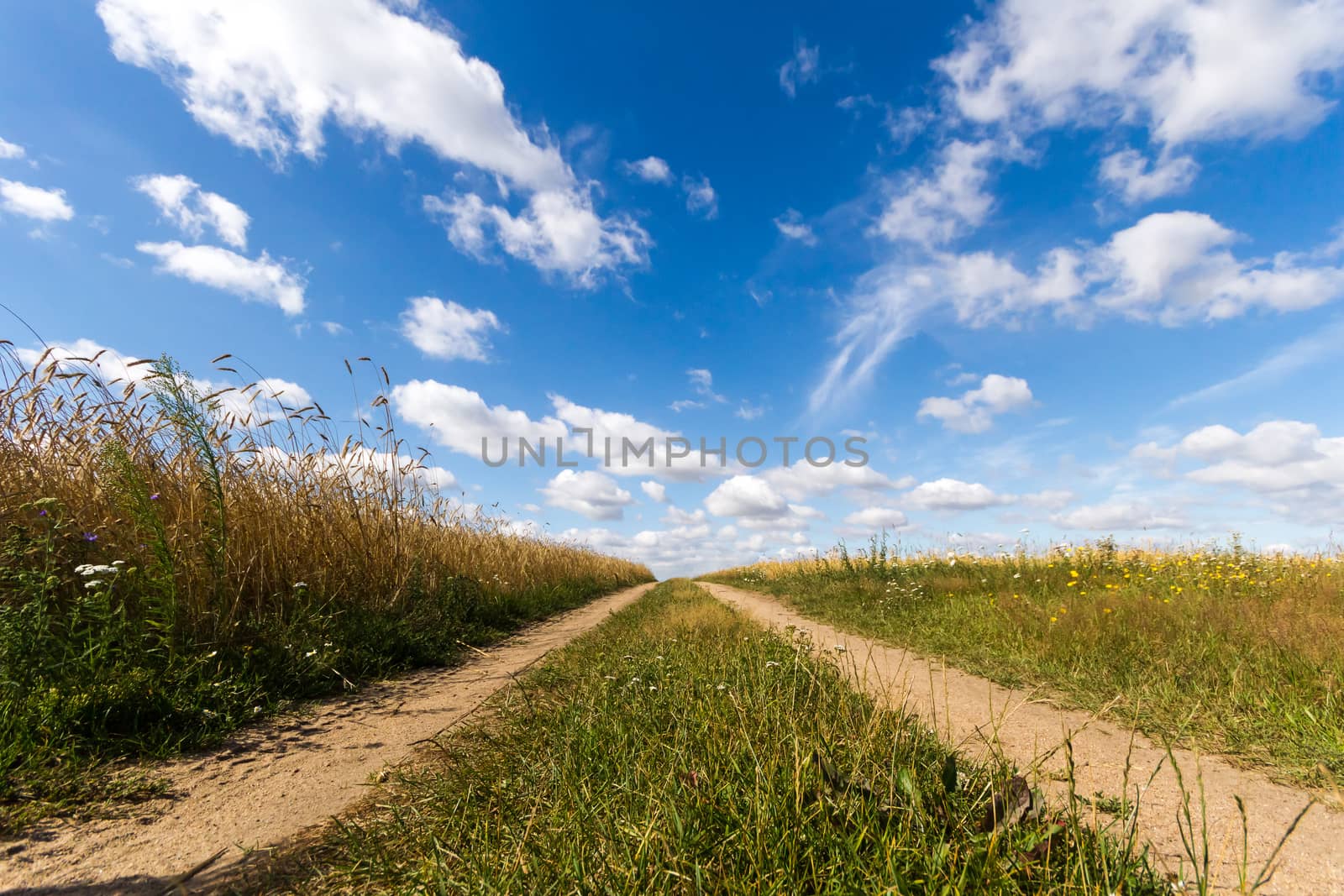 agricultural field, nature and agriculture farming series