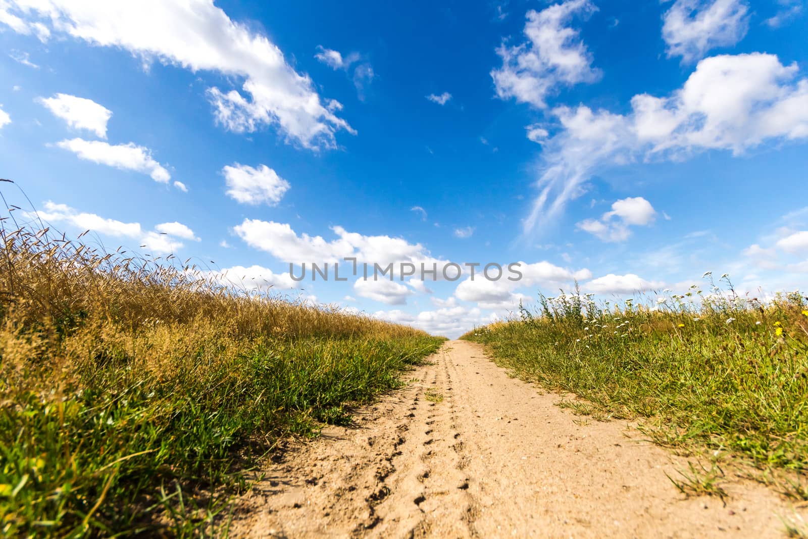 agricultural field, nature and agriculture farming series