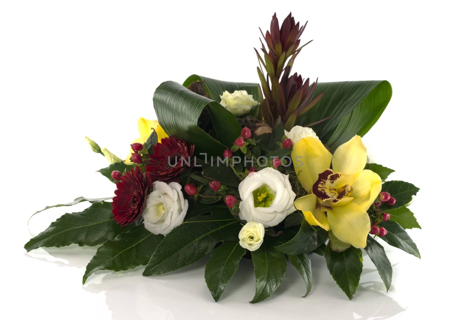 flower arrangement isolated on white background