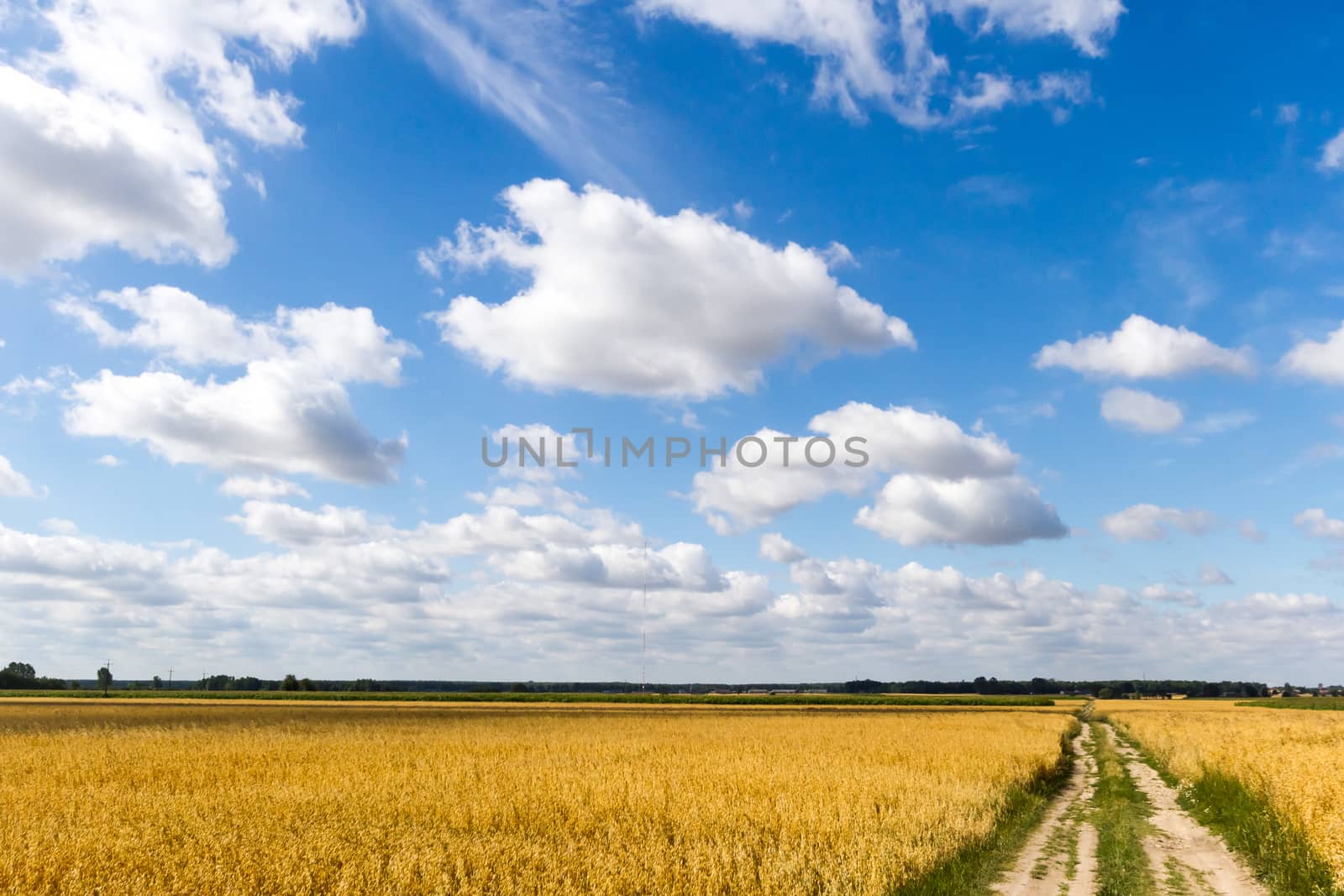 agricultural field, nature and agriculture farming series