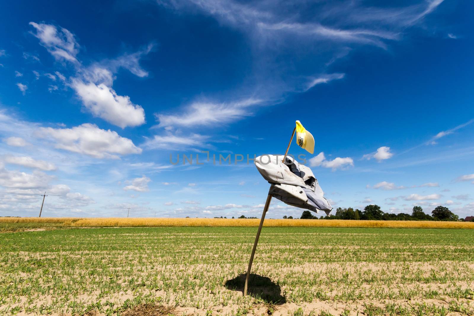 agricultural field, nature and agriculture farming series