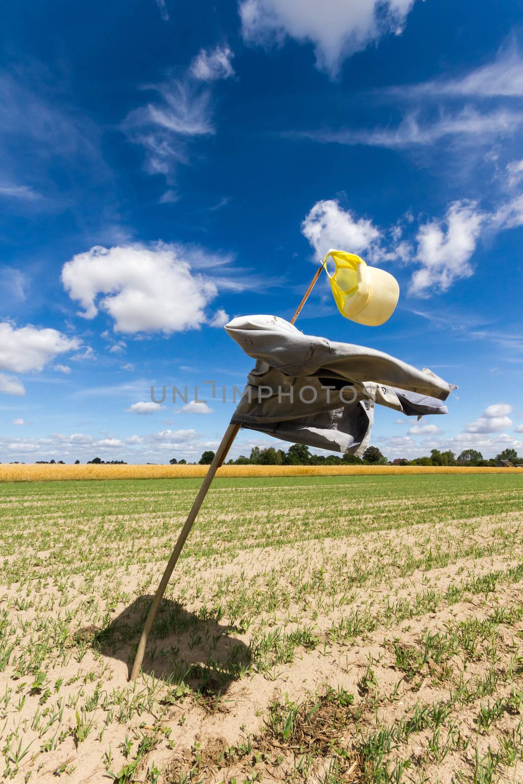 agricultural field, nature and agriculture farming series
